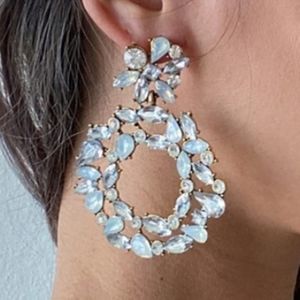 Crystal Drop Hoop Earrings